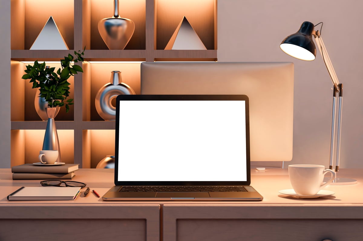 Website hosting and domain setup